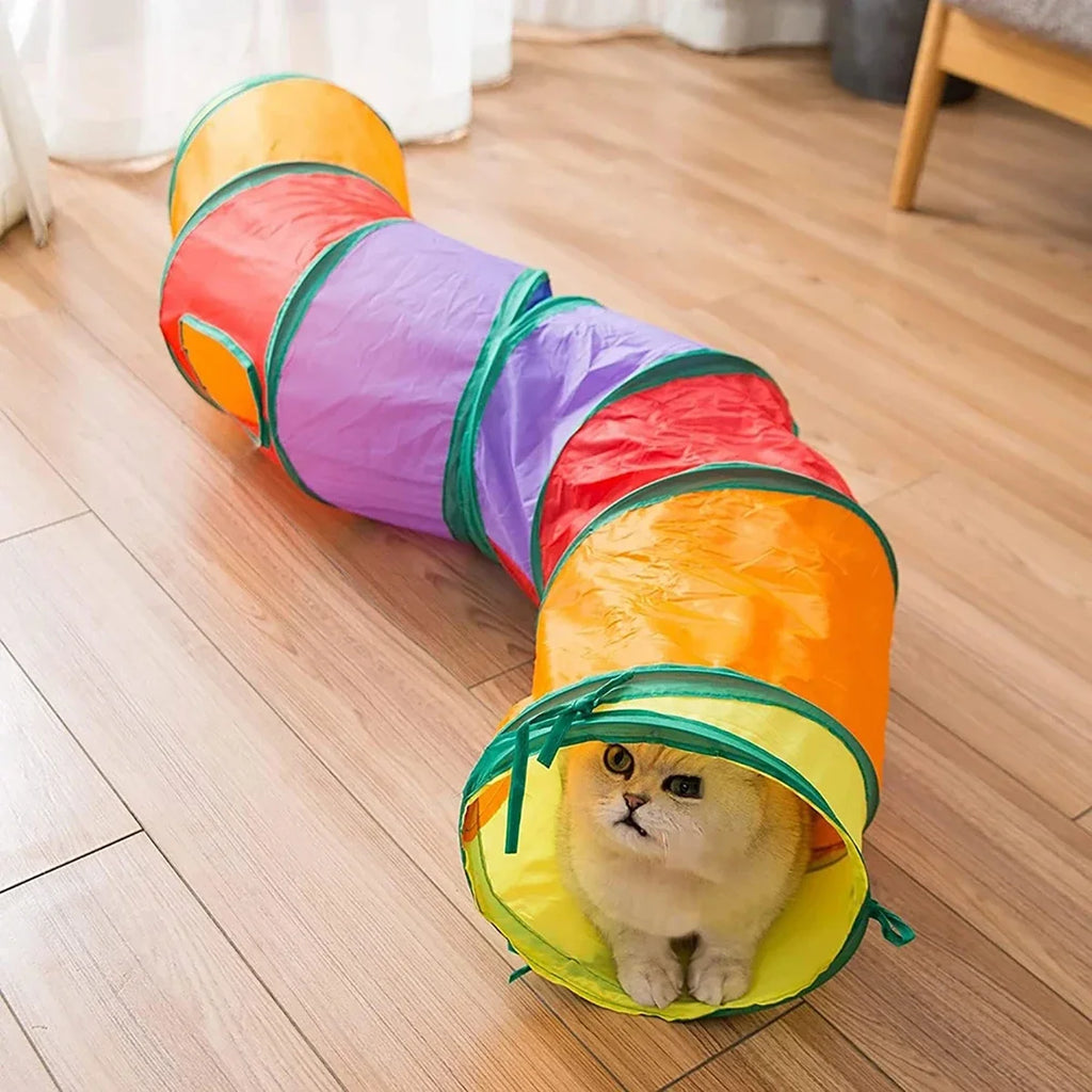 Rainbow Cat Tunnel