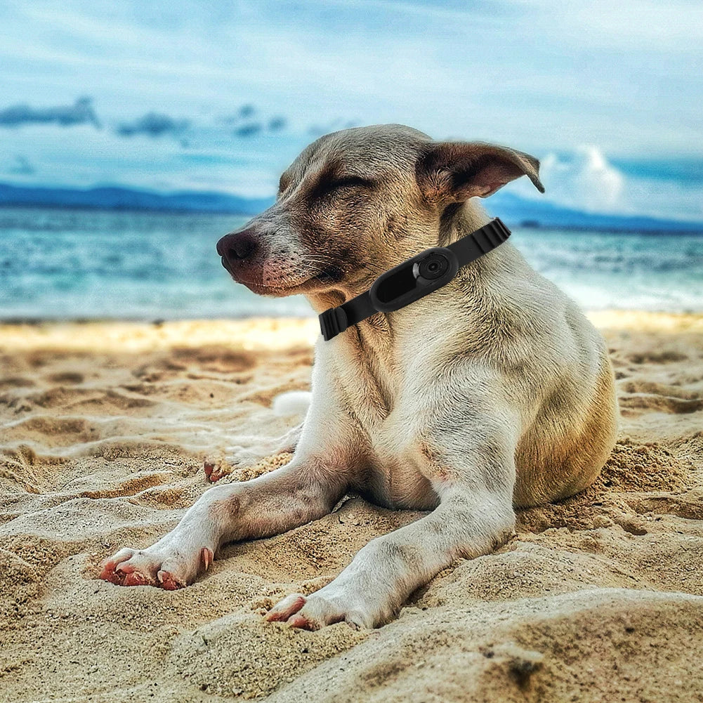 Pet Camera Collar for Adventure