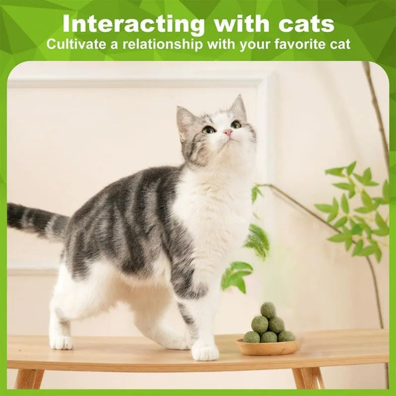 Natural Catnip Ball Toy