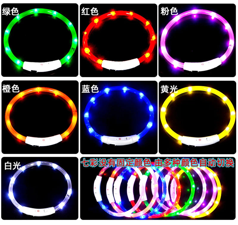 Glow in the Dark Dog Collar