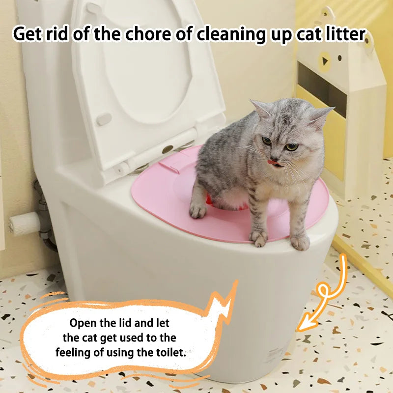 Cat Toilet Training Made Easy