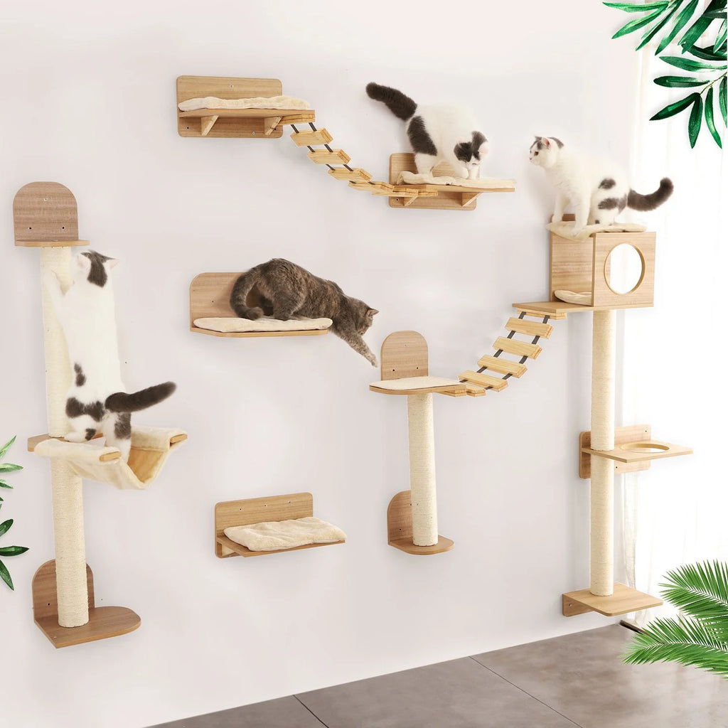 Wall-Mounted Cat Climbing Rack
