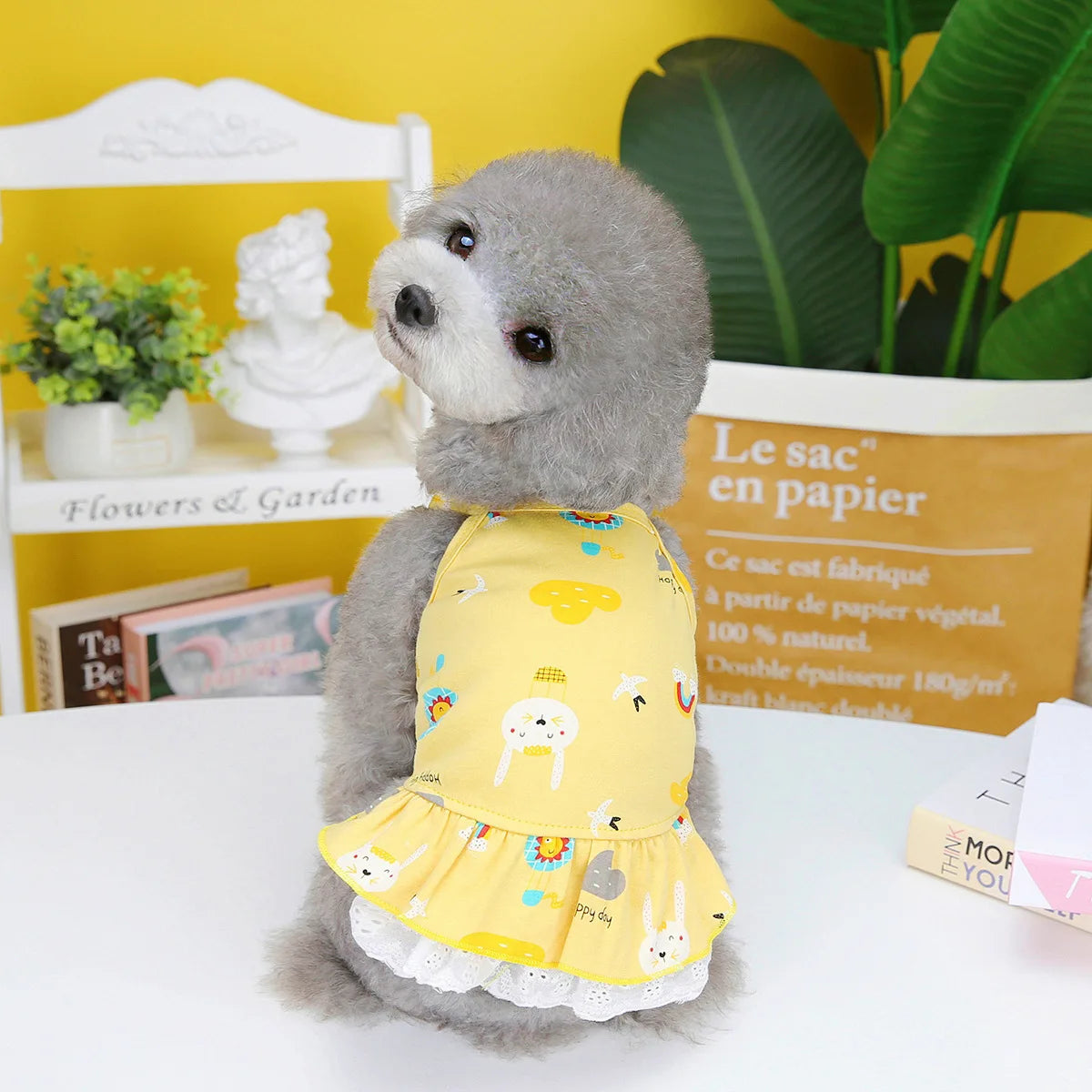 Charming Summer Dog Dress