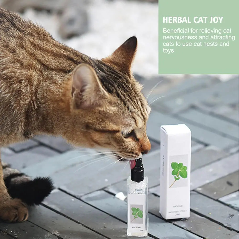 Calming Cat Mint Spray