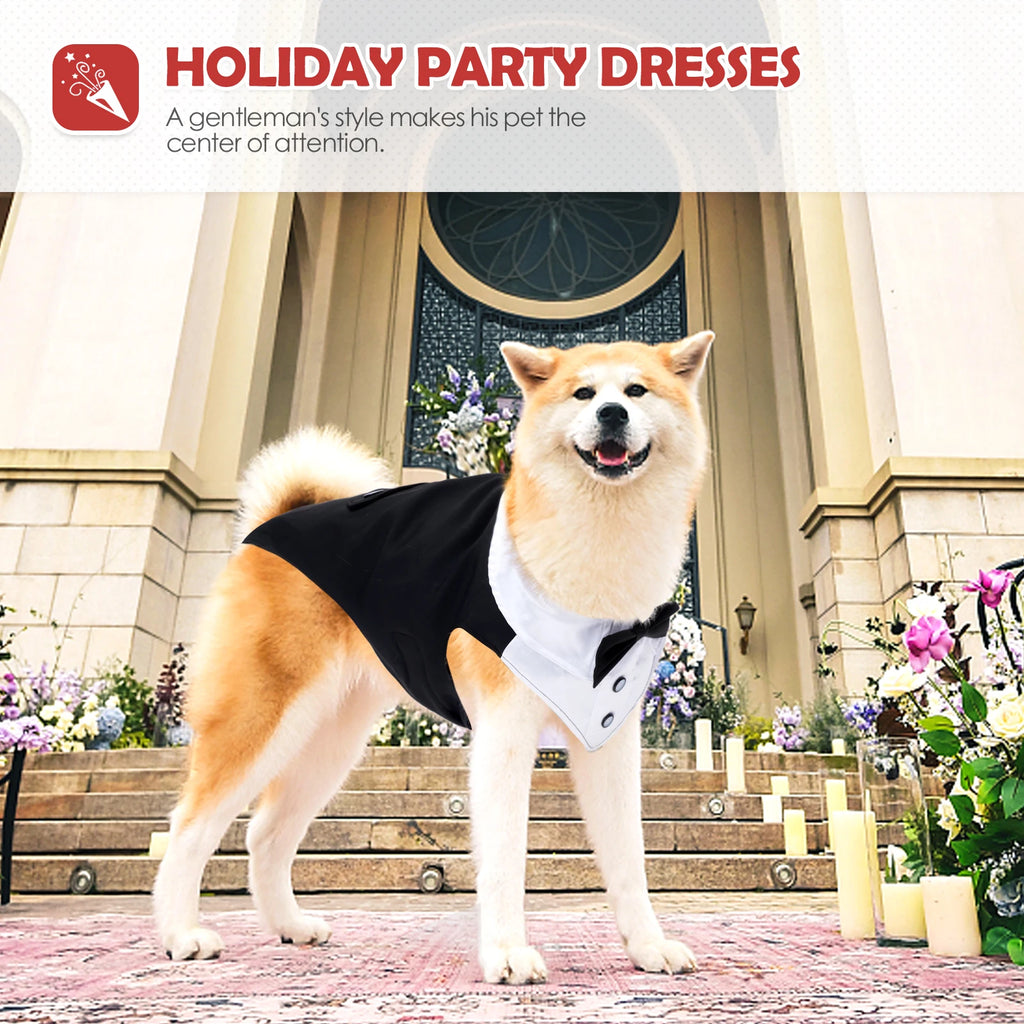 Charming Dog Tuxedo Suit