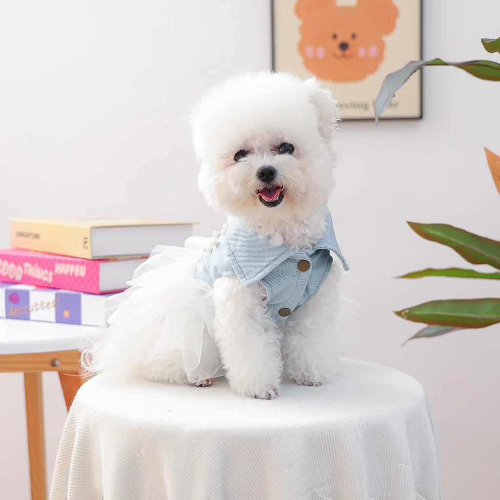 Adorable Dog Denim Dress