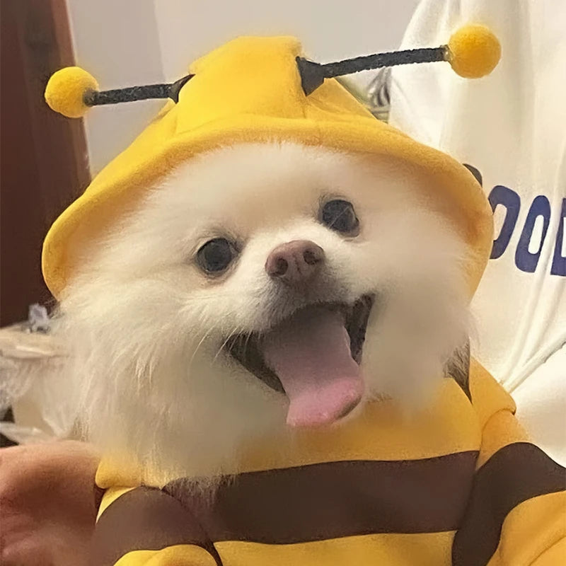Cute Cozy Bee Dog Hoodie