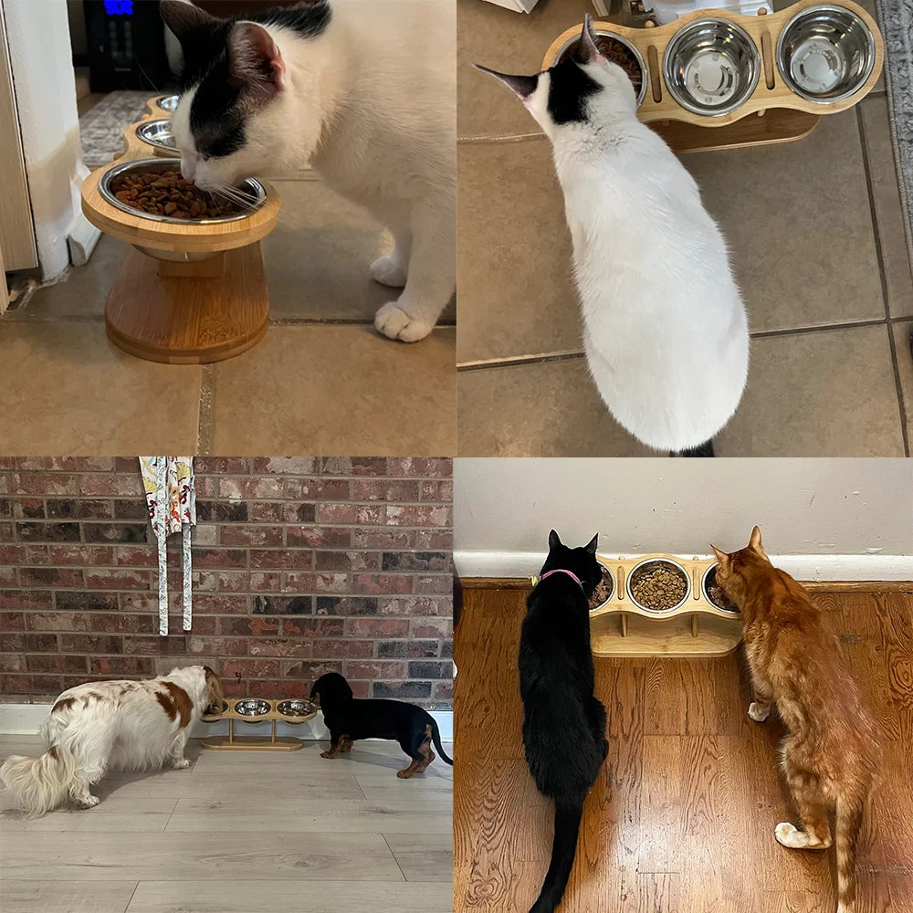 Tilted Wooden Cat & Dog Bowls