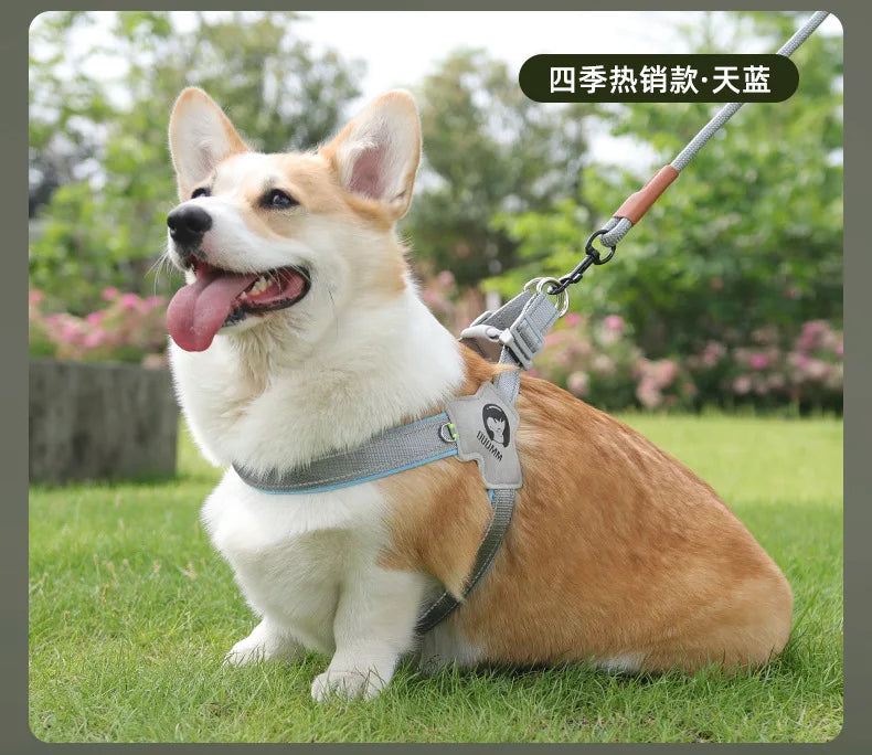 Adjustable Reflective Dog Harness