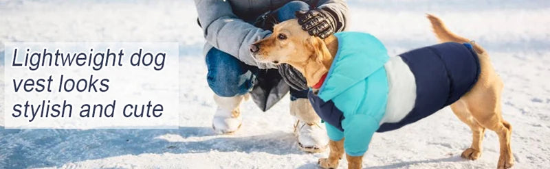 Cozy Waterproof Dog Winter Jacket