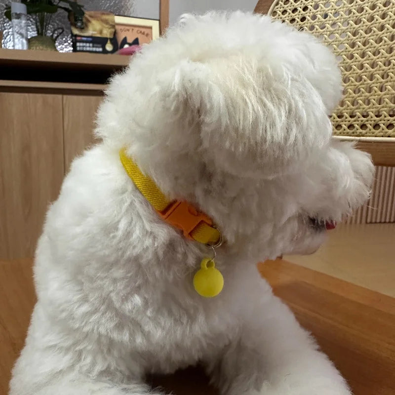 Stylish Elastic Cat Collar