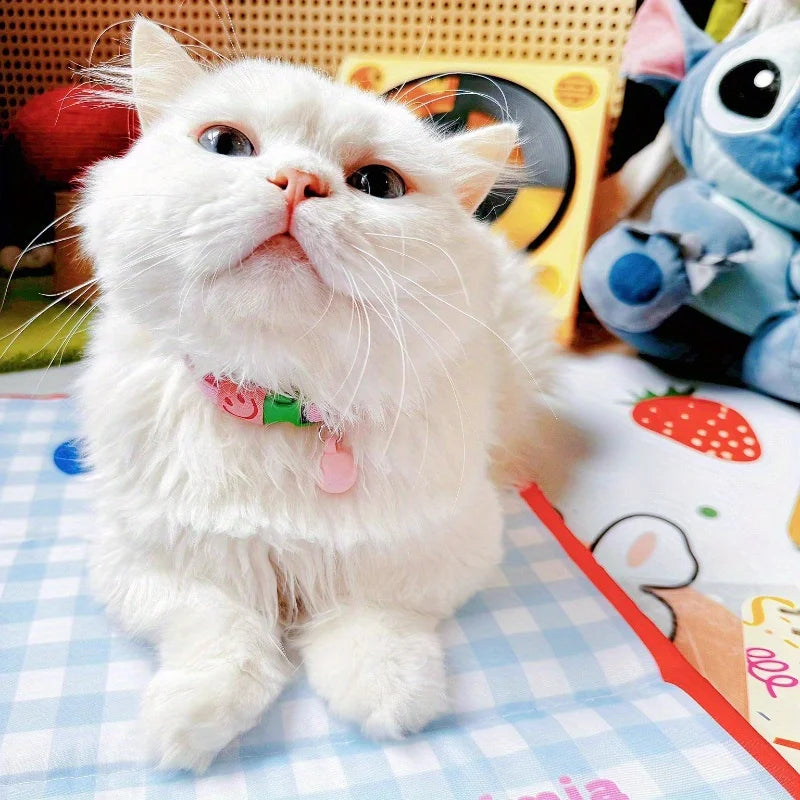 Stylish Elastic Cat Collar
