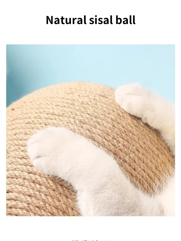 Interactive Cat Ball Toy
