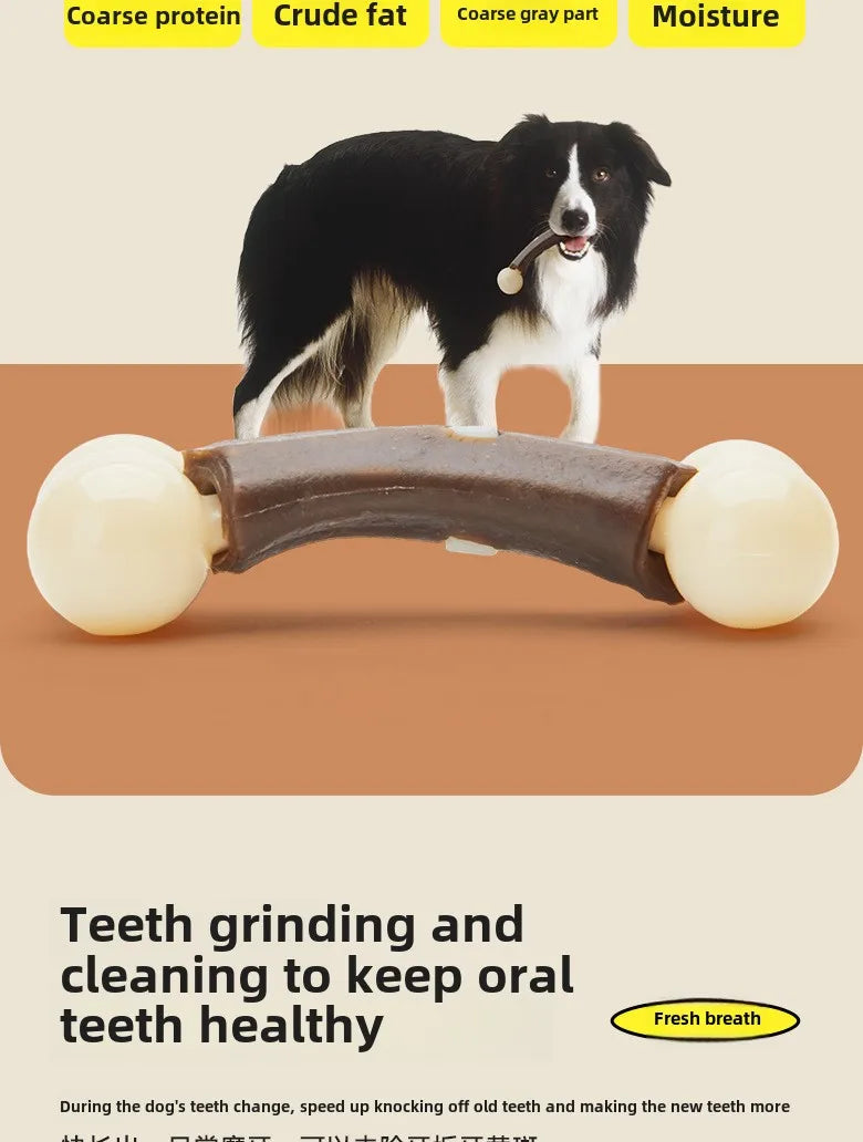Durable Chew Stick Toy