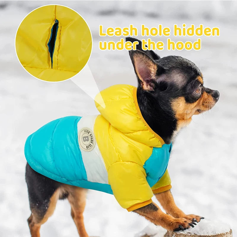Cozy Waterproof Dog Winter Jacket