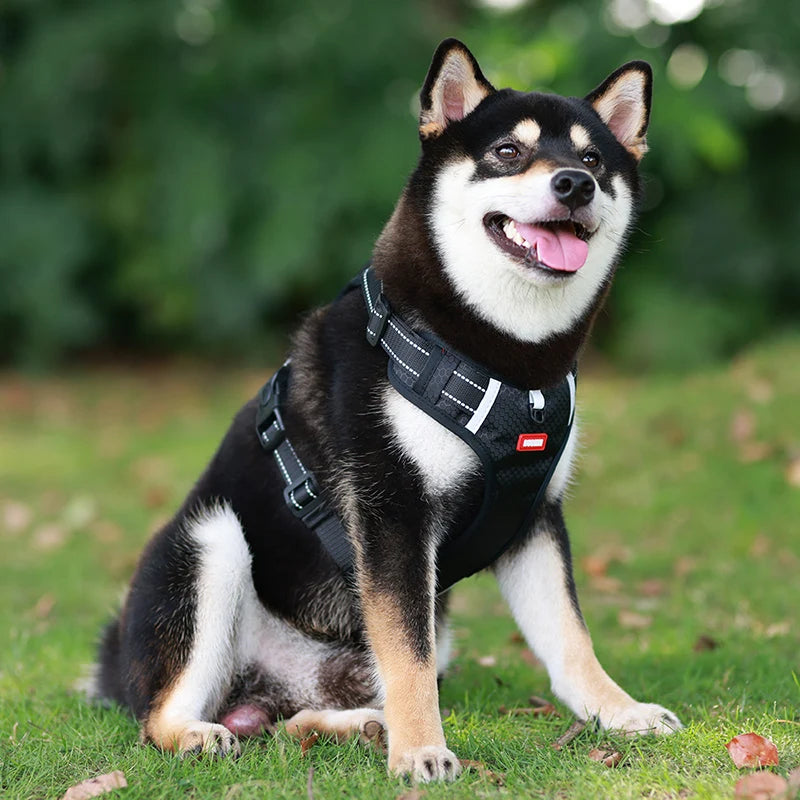 Reflective Dog Harness for Safe Walks