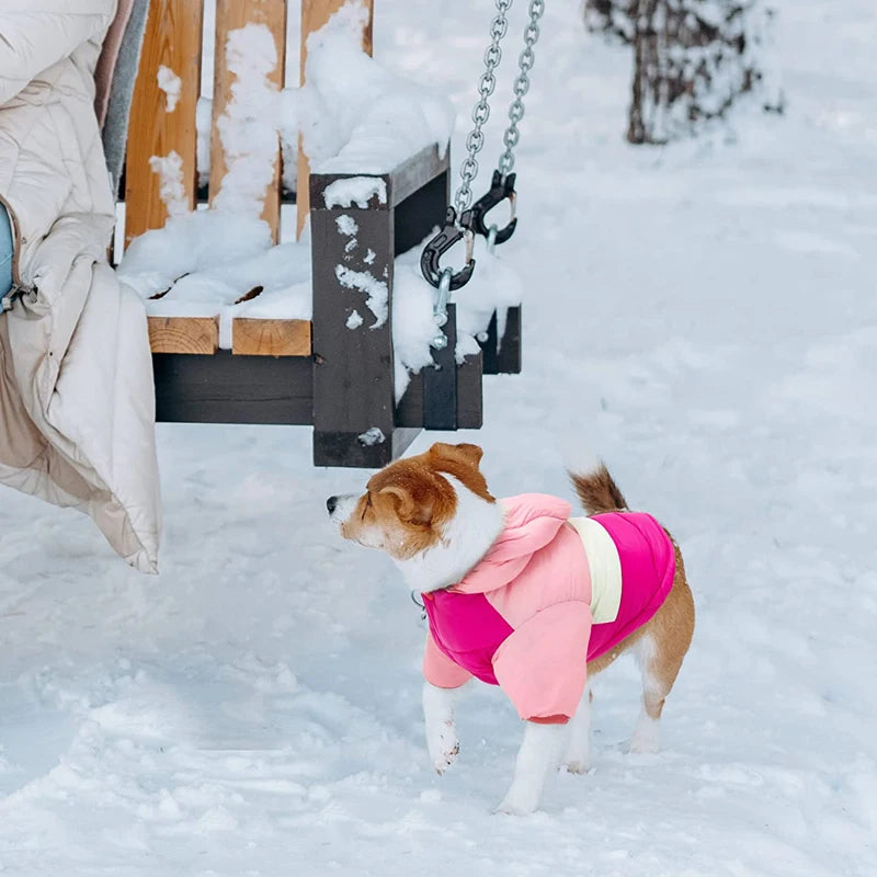 Cozy Waterproof Dog Winter Jacket