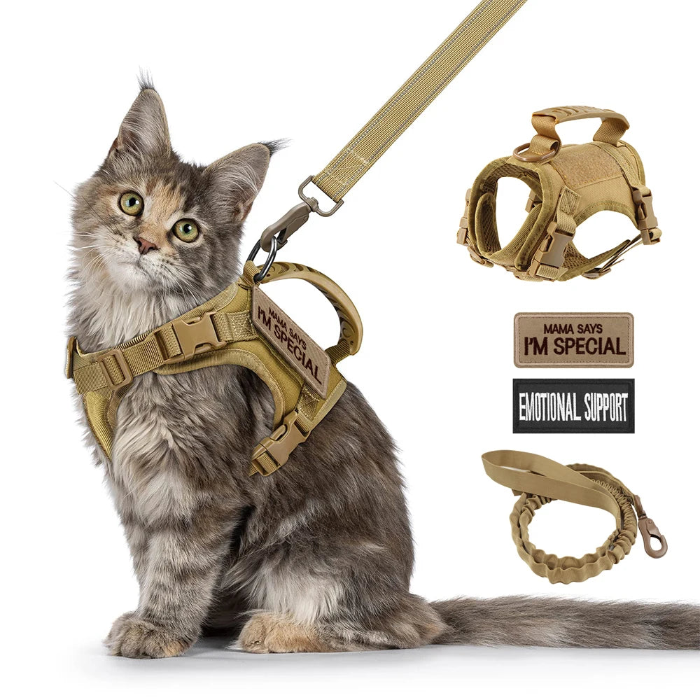 Tactical Cat Harness & Leash
