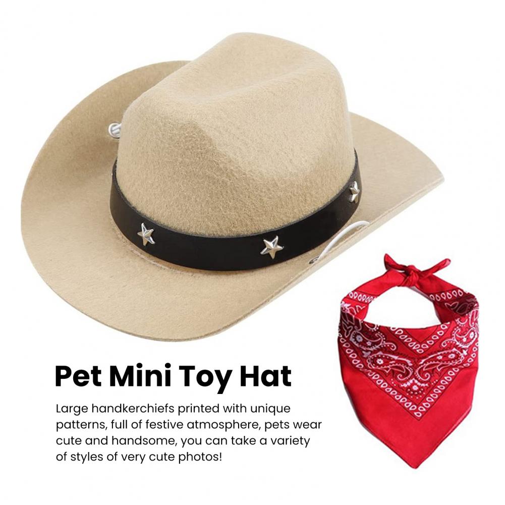 Cowboy Costume for Pets