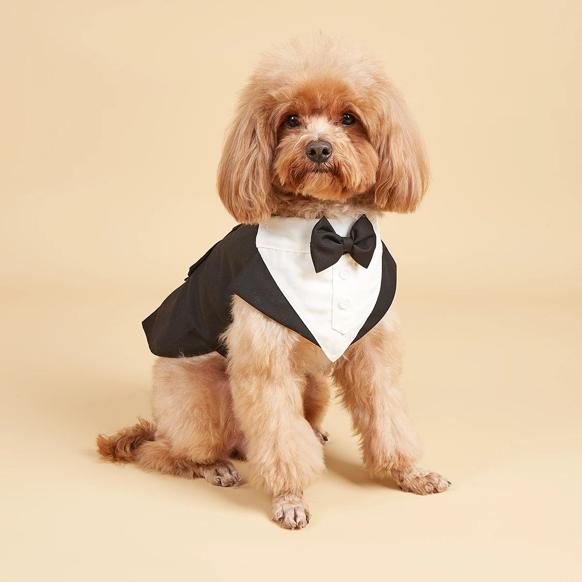 Dog Wedding Costume with Bow Tie