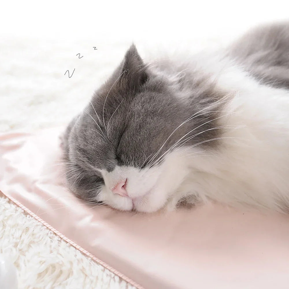 Cozy Winter Pet Heating Pad