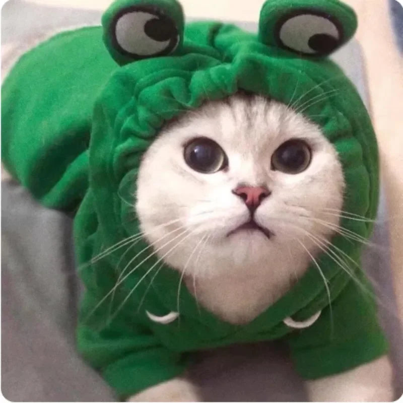 Adorable Frog Hoodie for Pets