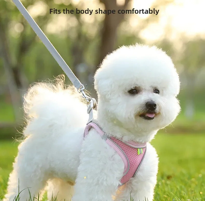 Versatile Dog Harness for All Breeds