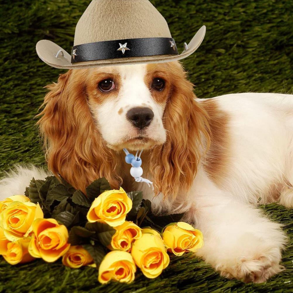 Cowboy Costume for Pets