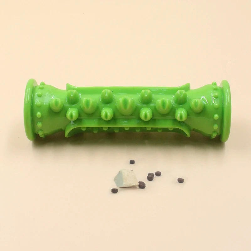 Interactive Dog Toothbrush Chew Toy