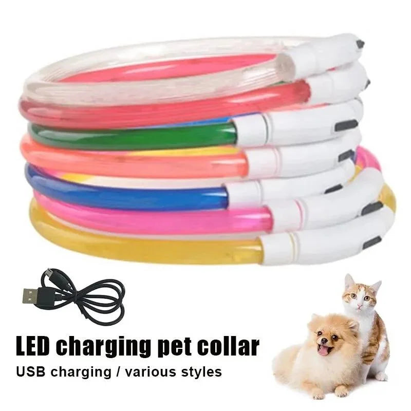 Glow in the Dark Dog Collar