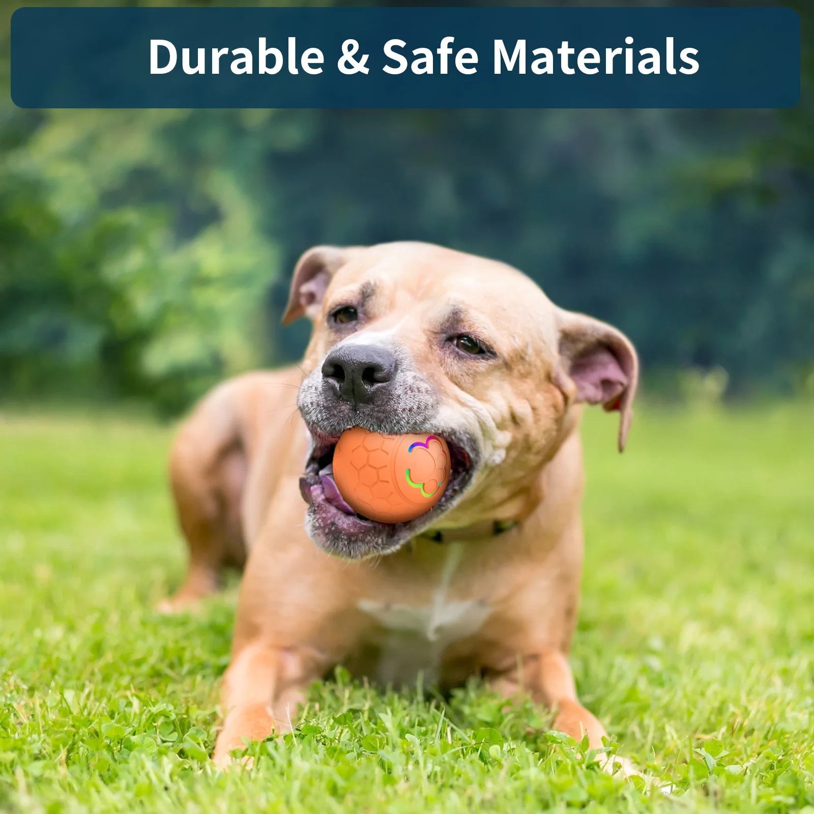 Interactive LED Dog Toy Ball
