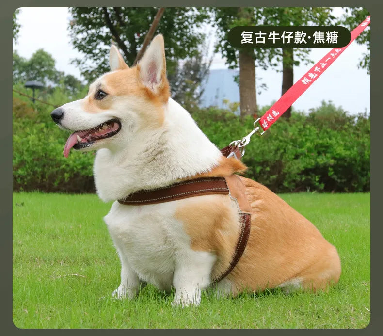 Adjustable Reflective Dog Harness