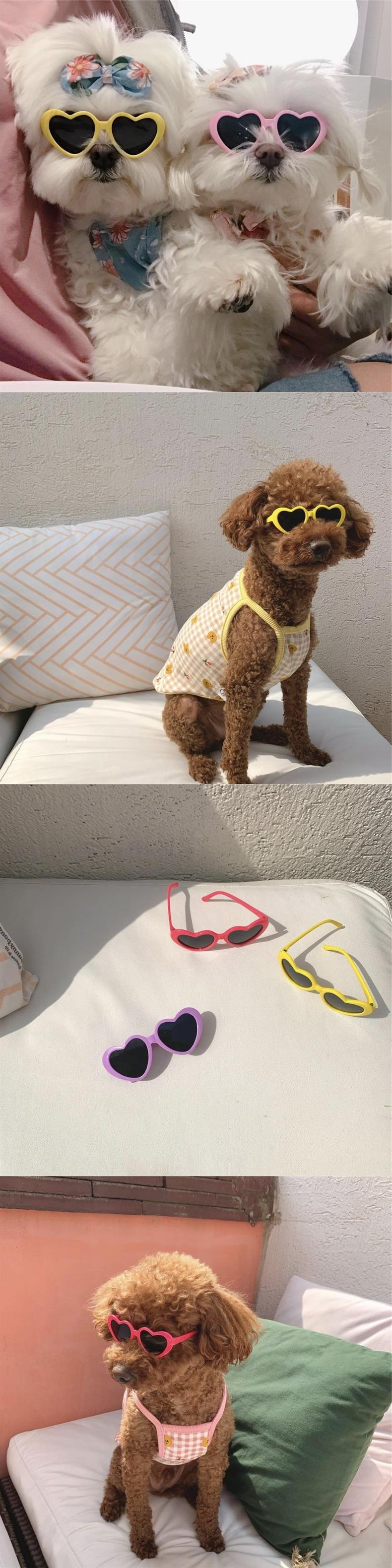 Trendy Pet Sunglasses