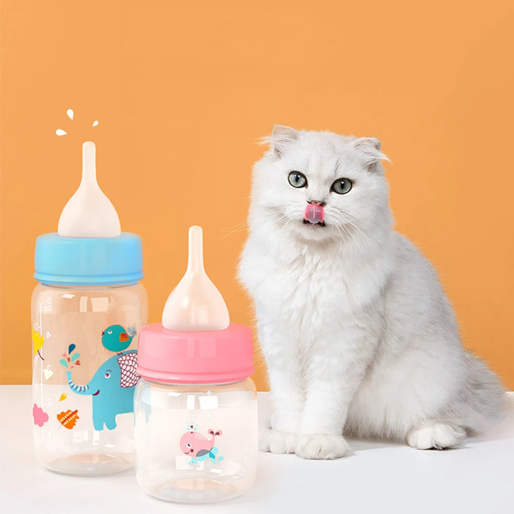 Cute Kitten Feeding Bottle