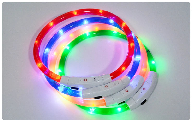 Glow in the Dark Dog Collar