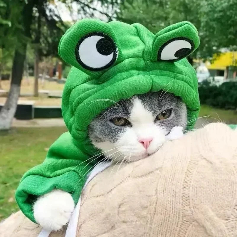 Adorable Frog Hoodie for Pets