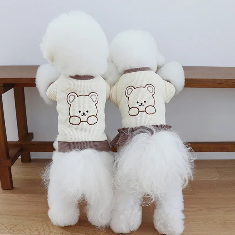 Adorable Pet Couple Outfits