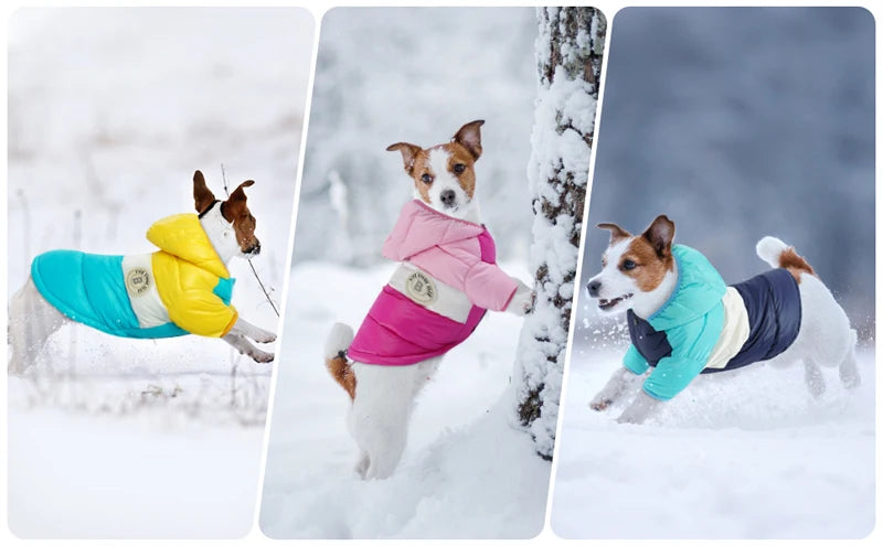 Cozy Waterproof Dog Winter Jacket