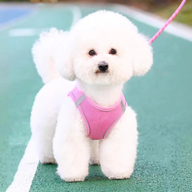 Versatile Dog Harness for All Breeds
