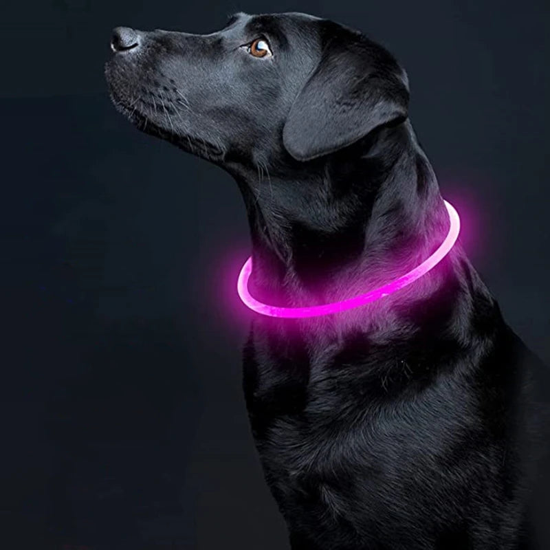Glow in the Dark Dog Collar
