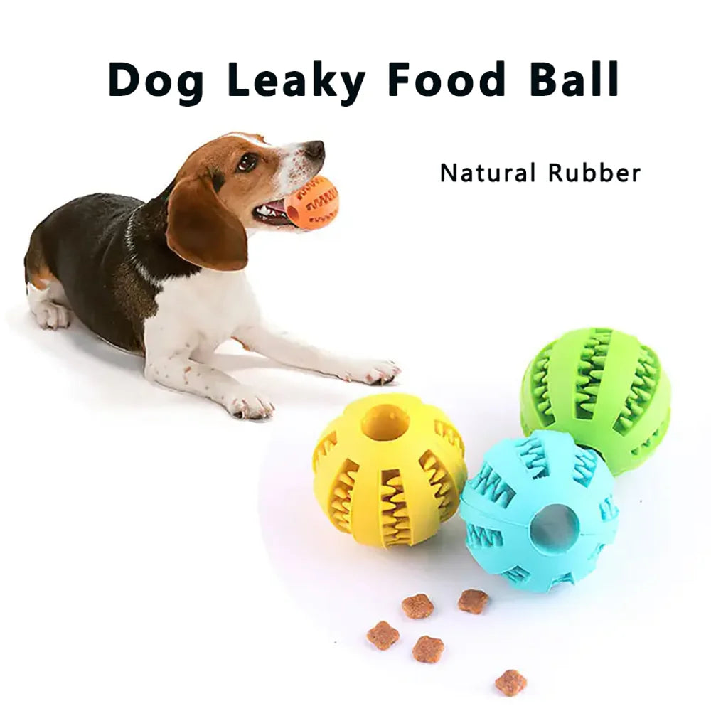 Fun Chew Toy Ball