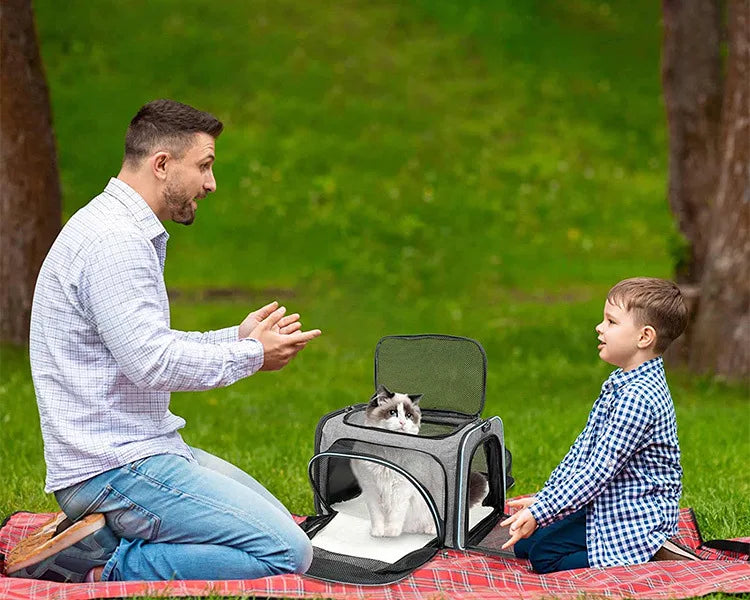 Foldable Pet Carrier Bag