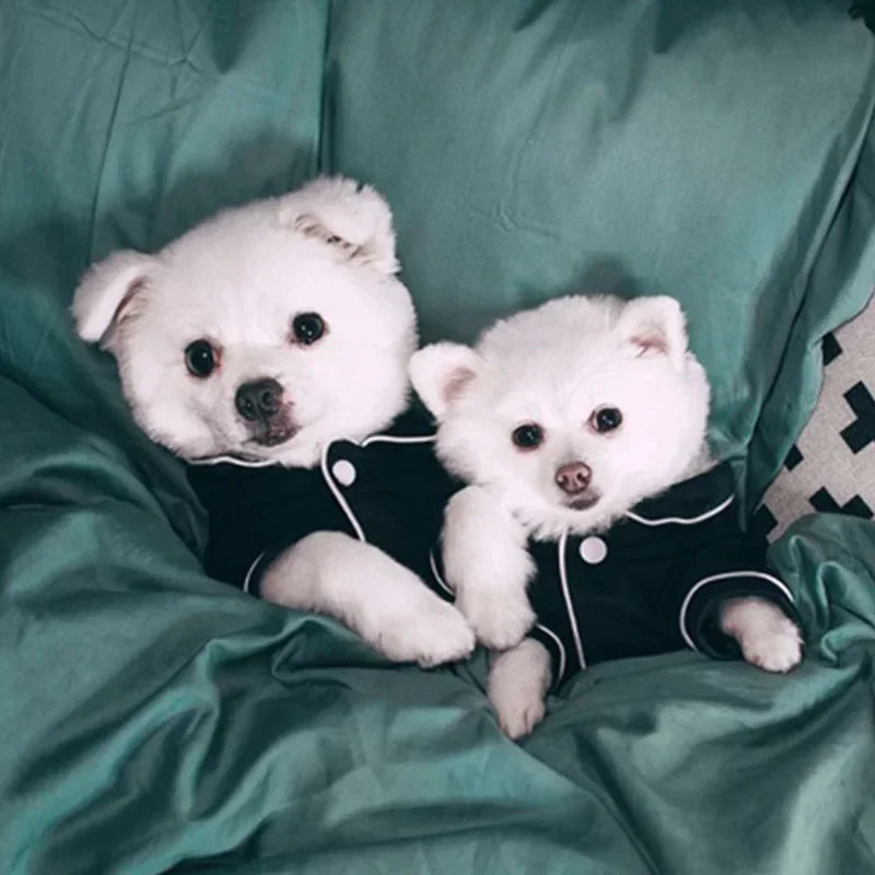 Cozy Summer Dog Pajamas