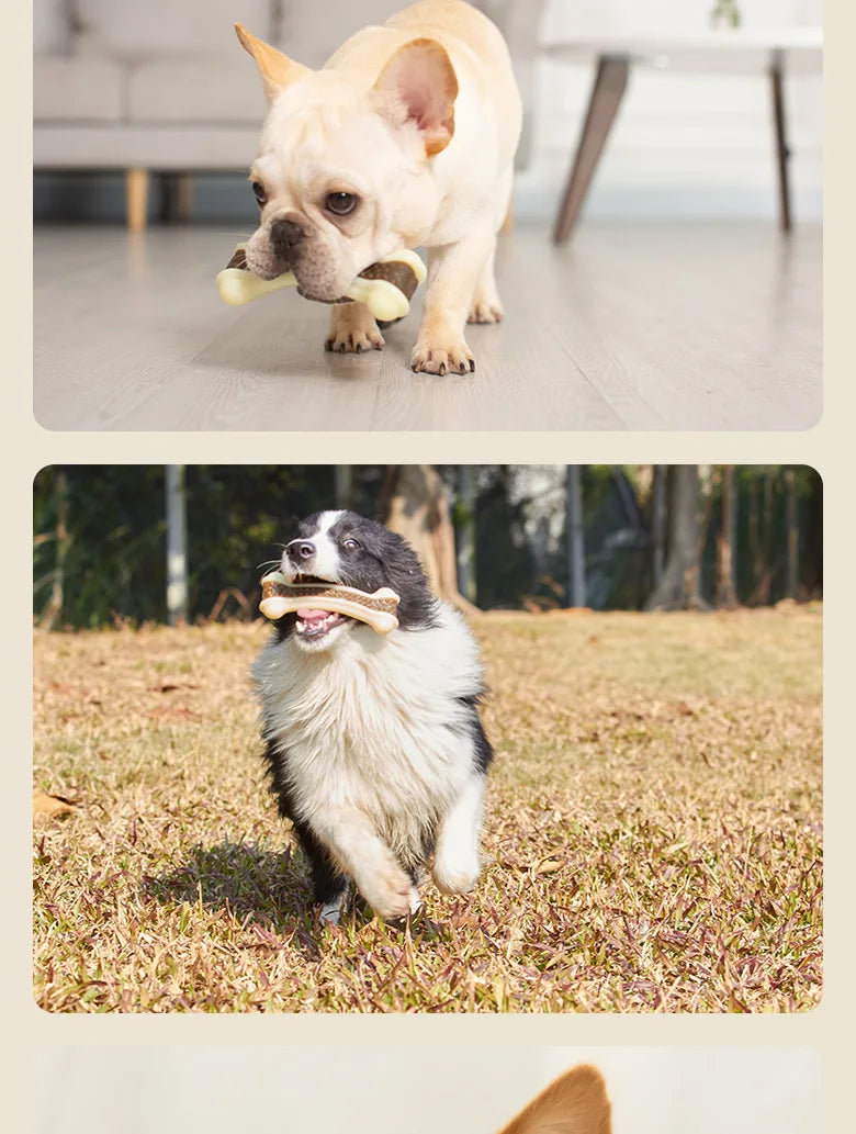 Durable Chew Stick Toy