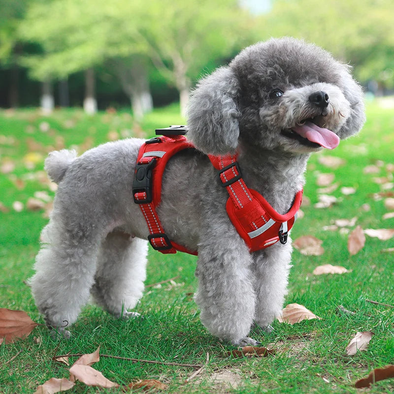 Reflective Dog Harness for Safe Walks
