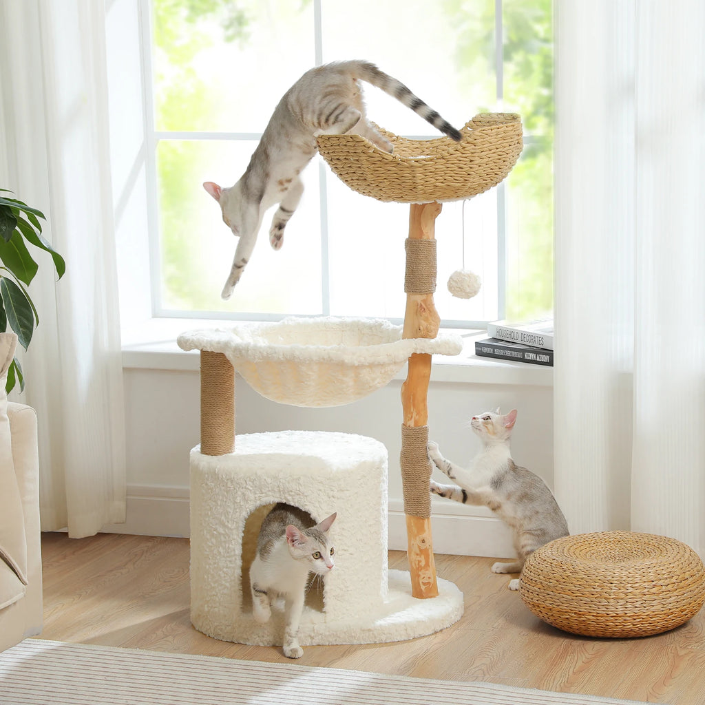 Stylish Cat Tree with Hammock
