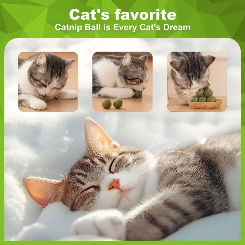 Natural Catnip Ball Toy