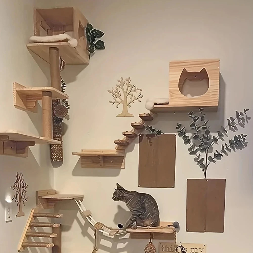 Climbing Cat Wall Rack