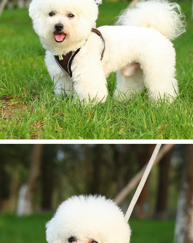 Versatile Dog Harness for All Breeds