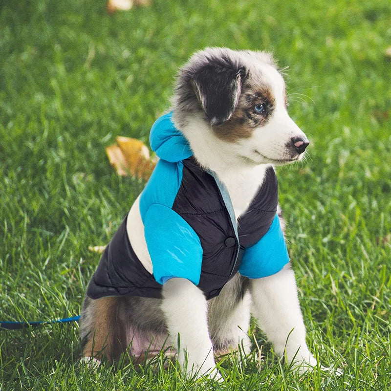 Cozy Waterproof Dog Winter Jacket